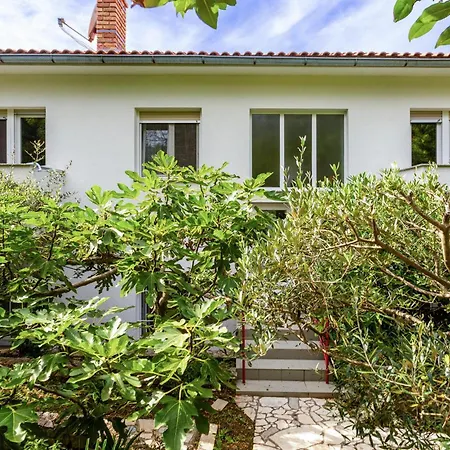 Apartment Beautiful In With Wifi